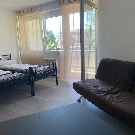 Aqualonnaehe Apartment Bad Sackingen